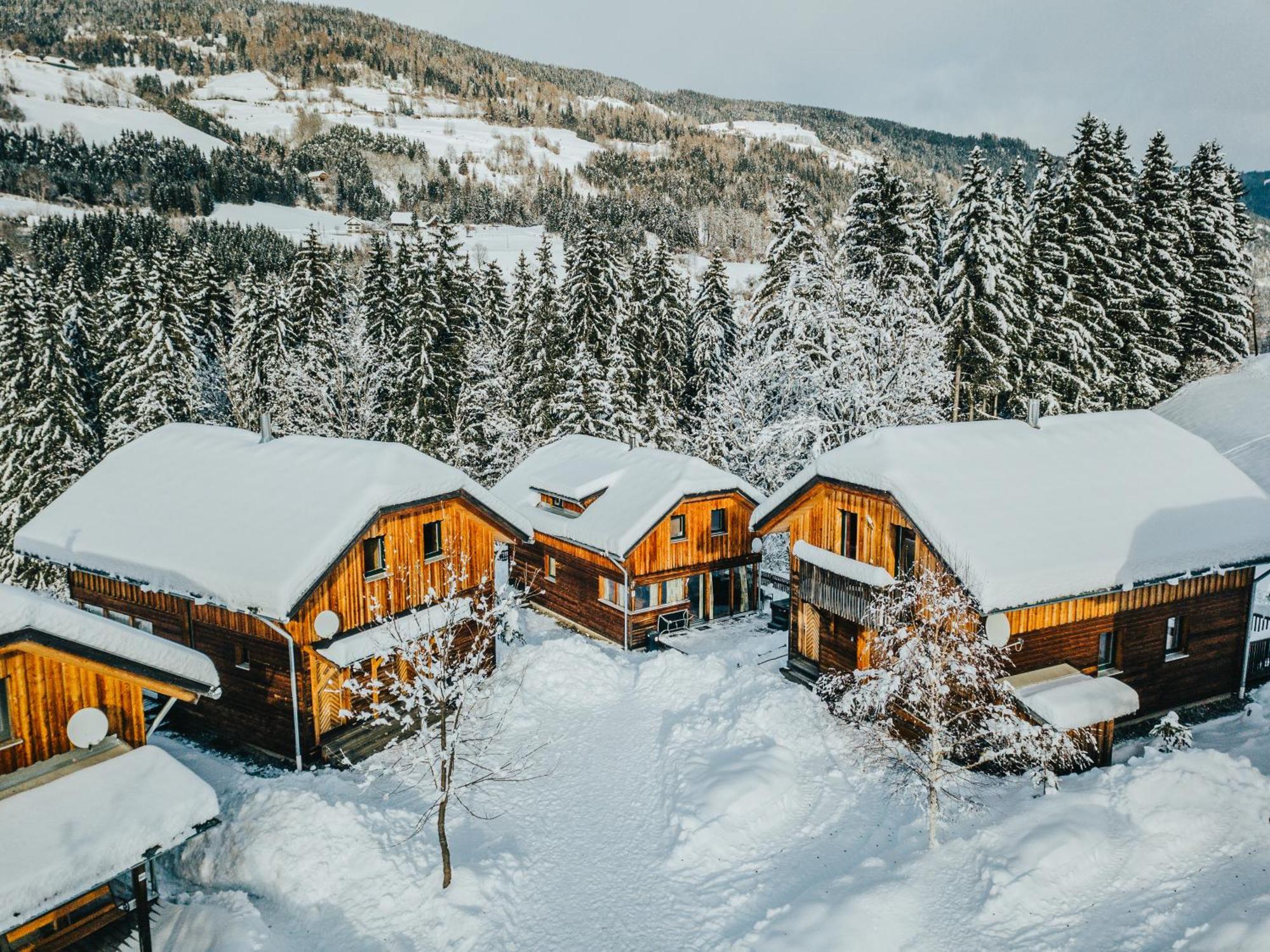 Woody Park Βίλα Sankt Georgen ob Murau Εξωτερικό φωτογραφία