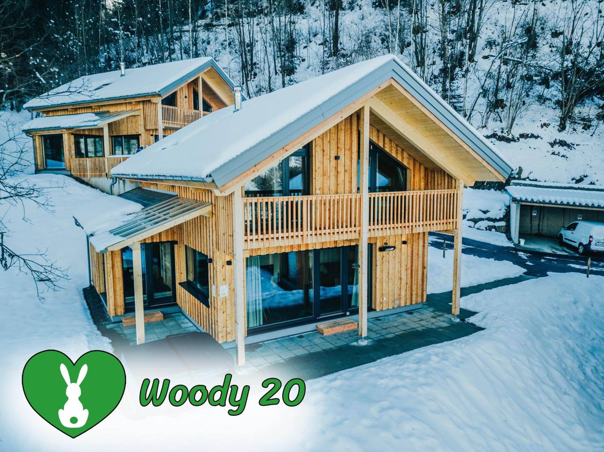 Woody Park Βίλα Sankt Georgen ob Murau Εξωτερικό φωτογραφία