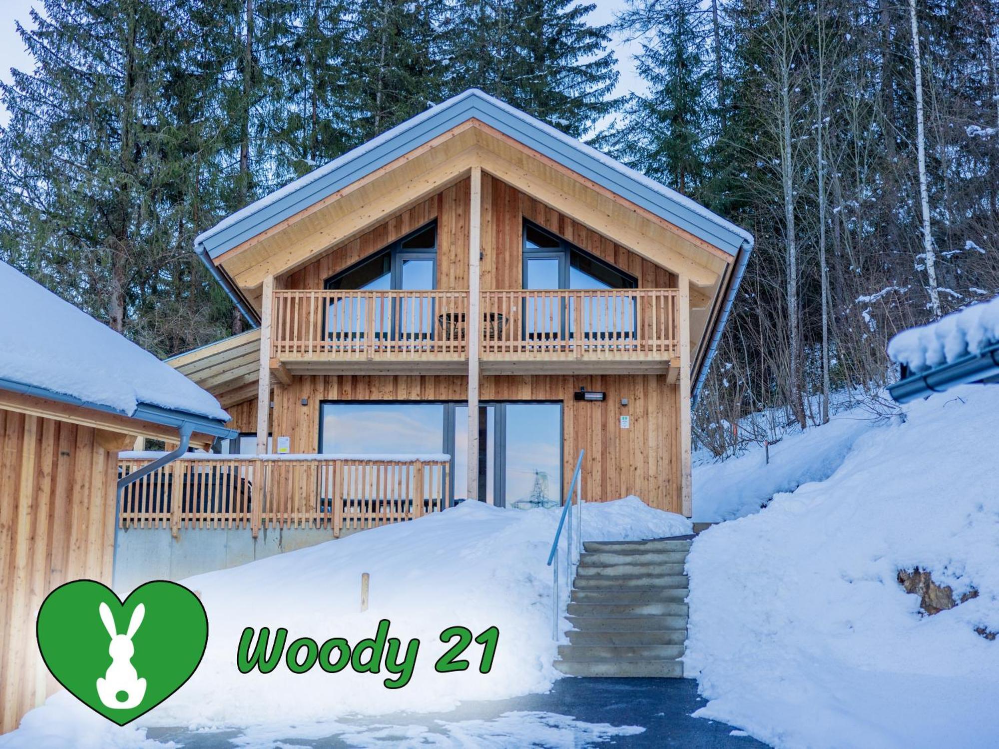 Woody Park Βίλα Sankt Georgen ob Murau Εξωτερικό φωτογραφία