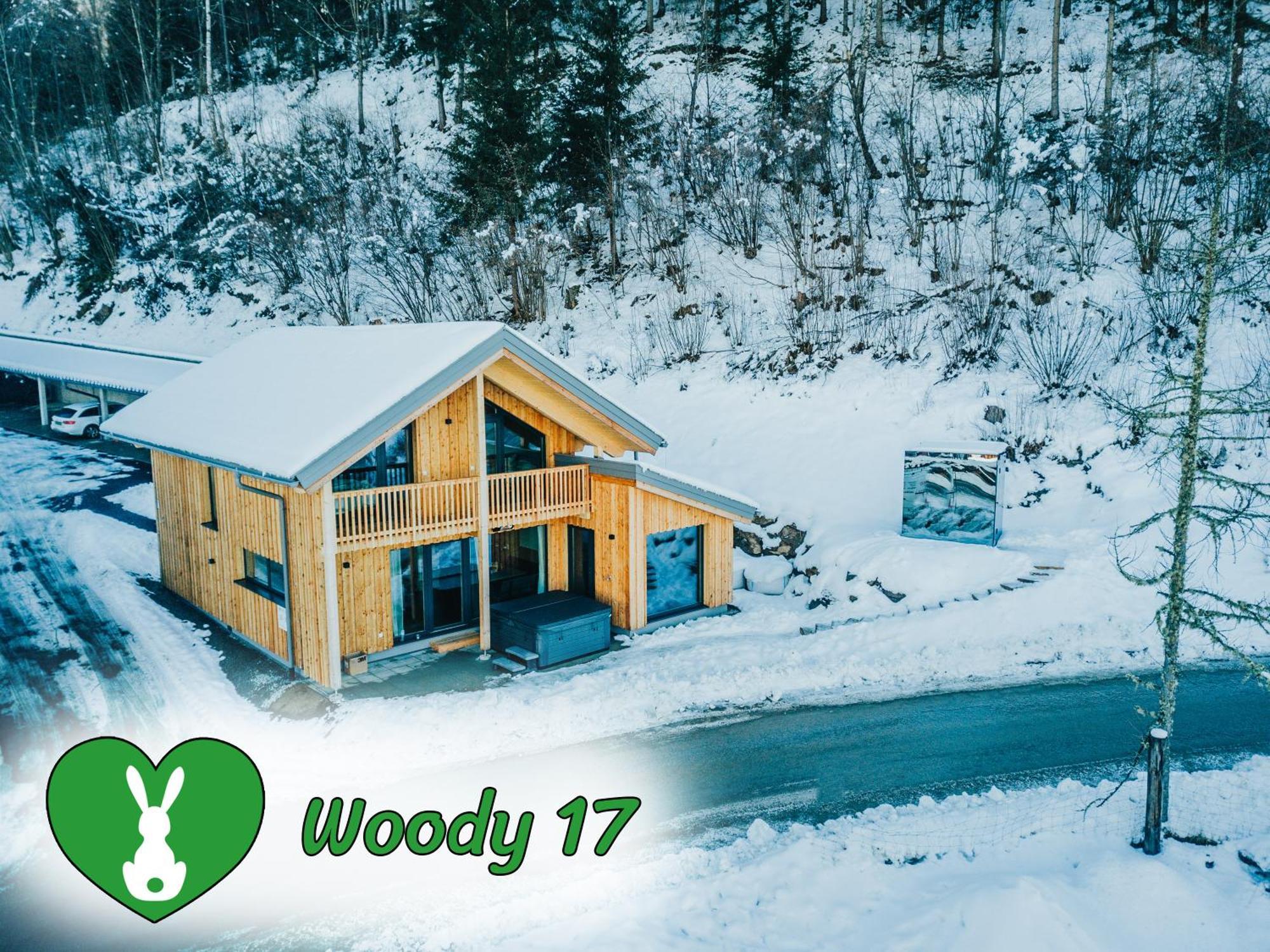 Woody Park Βίλα Sankt Georgen ob Murau Εξωτερικό φωτογραφία