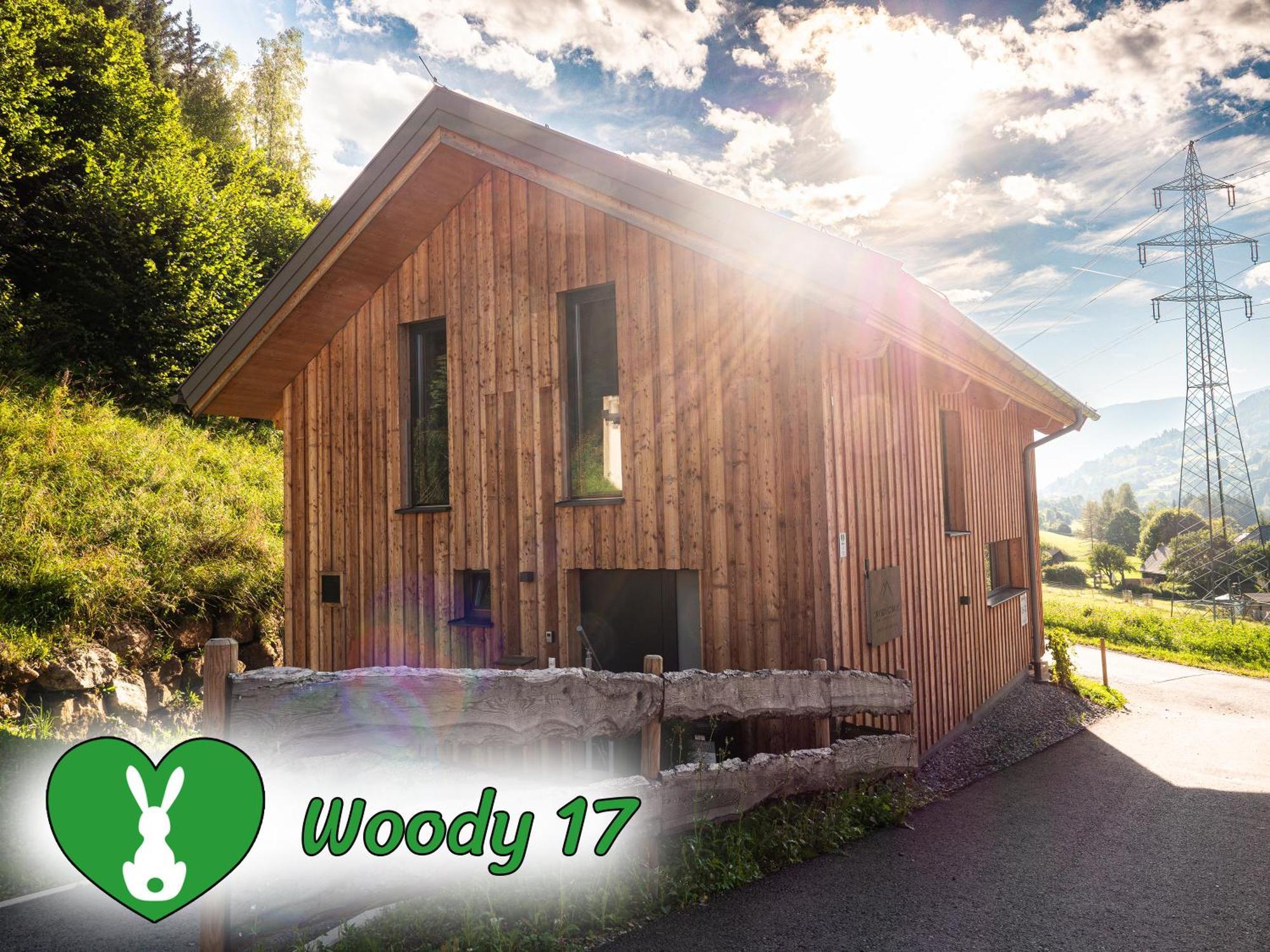 Woody Park Βίλα Sankt Georgen ob Murau Εξωτερικό φωτογραφία