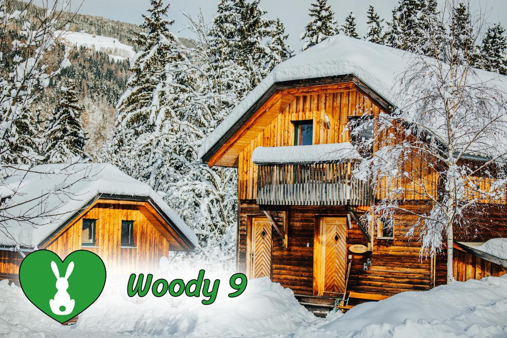 Woody Park Βίλα Sankt Georgen ob Murau Εξωτερικό φωτογραφία