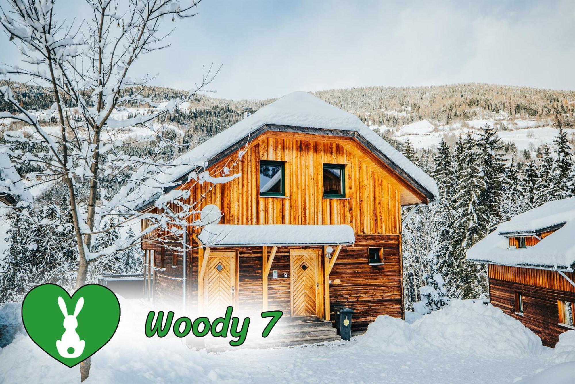 Woody Park Βίλα Sankt Georgen ob Murau Εξωτερικό φωτογραφία