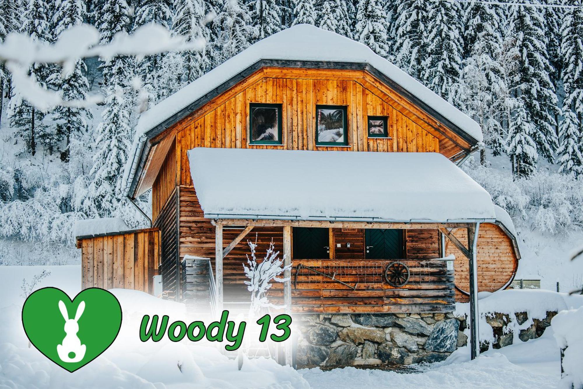 Woody Park Βίλα Sankt Georgen ob Murau Εξωτερικό φωτογραφία