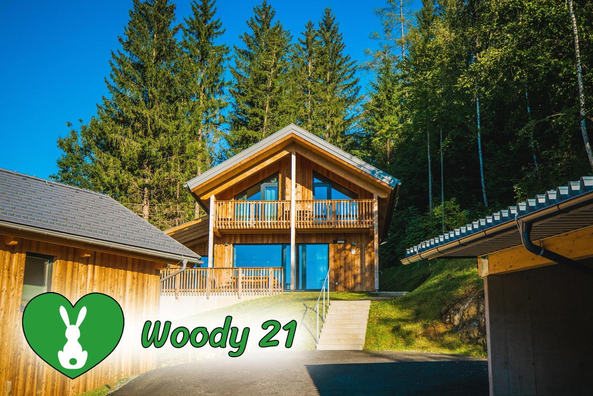 Woody Park Βίλα Sankt Georgen ob Murau Εξωτερικό φωτογραφία