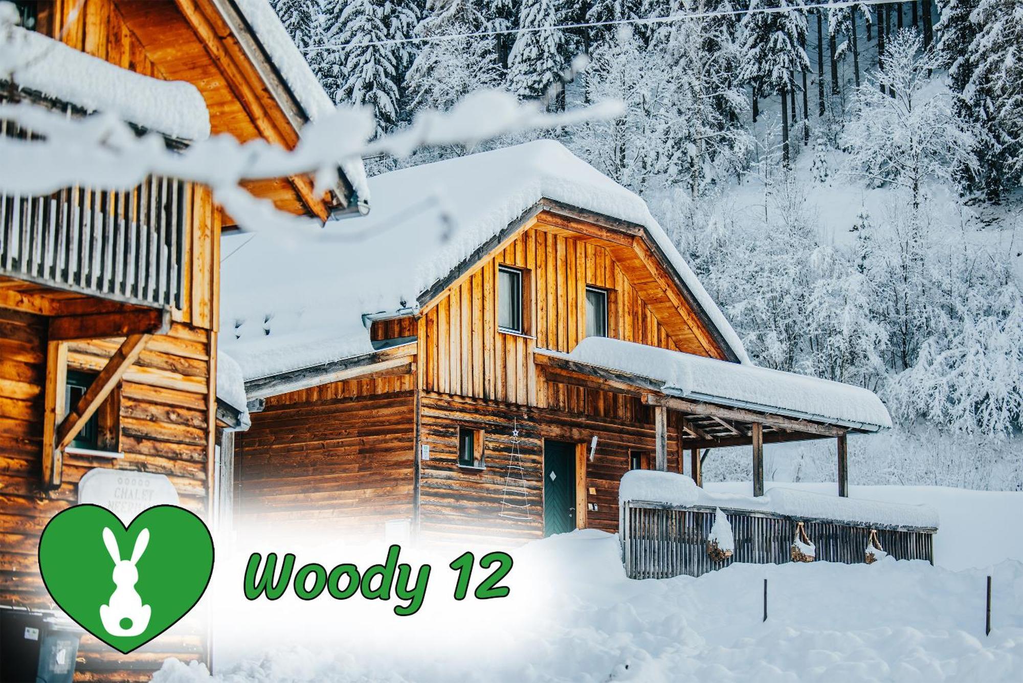 Woody Park Βίλα Sankt Georgen ob Murau Εξωτερικό φωτογραφία